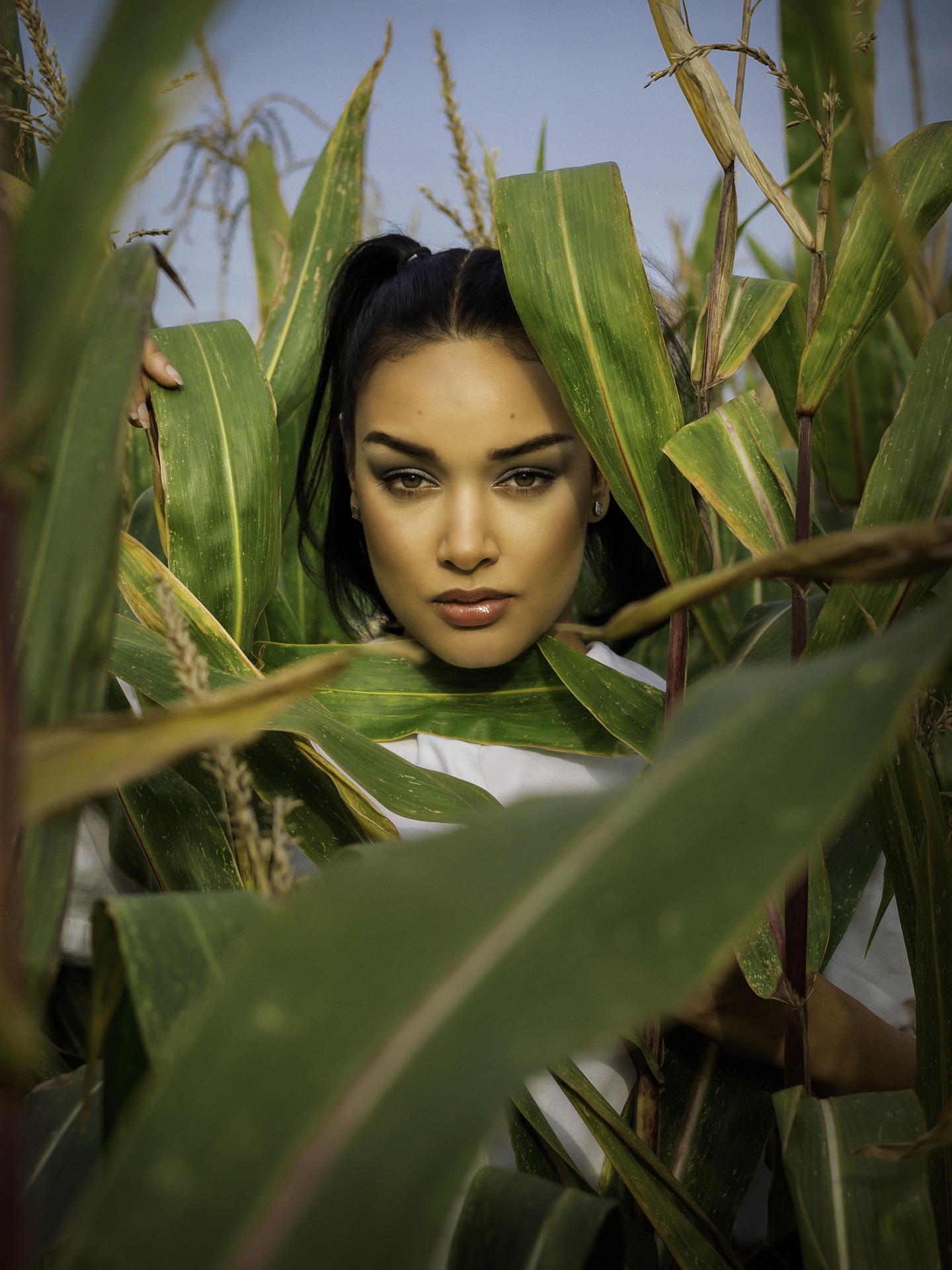 REDIEN_Communication.18